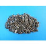 égertermés