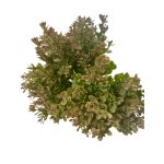 apró leveles kiegészítő