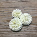 kicsi gömb dália fej