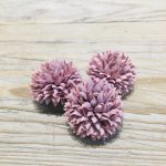 kicsi gömb dália fej