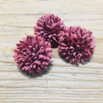 kicsi gömb dália fej