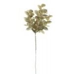 eukaliptusz ág metál 5-színben