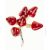 gomba pick