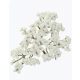 apró bogyós ág