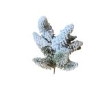 fenyő ág 2-féle darabolható