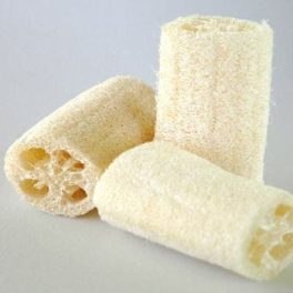 luffa termés