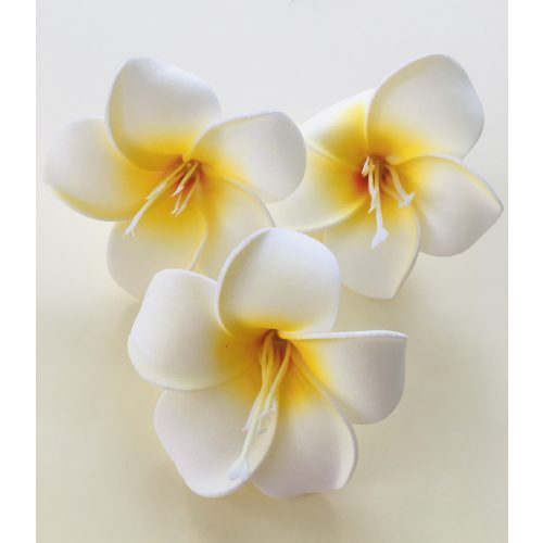 hawaii rózsa*3