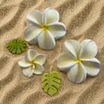 hawaii rózsa csomag