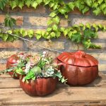 tölthető tök nagy