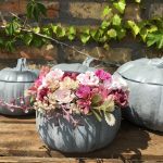 tölthető tök közepes