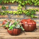 tölthető tök közepes